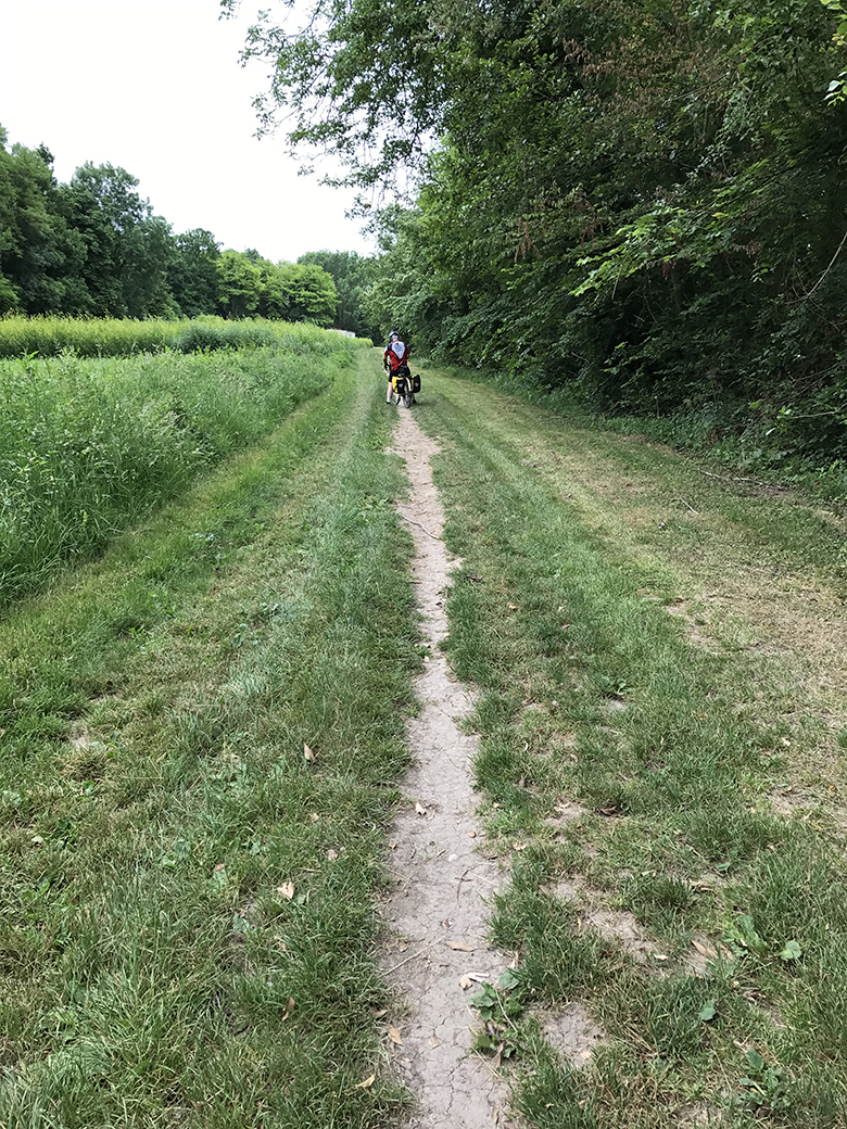 Trail near the Marne dwindles at times to a mere path